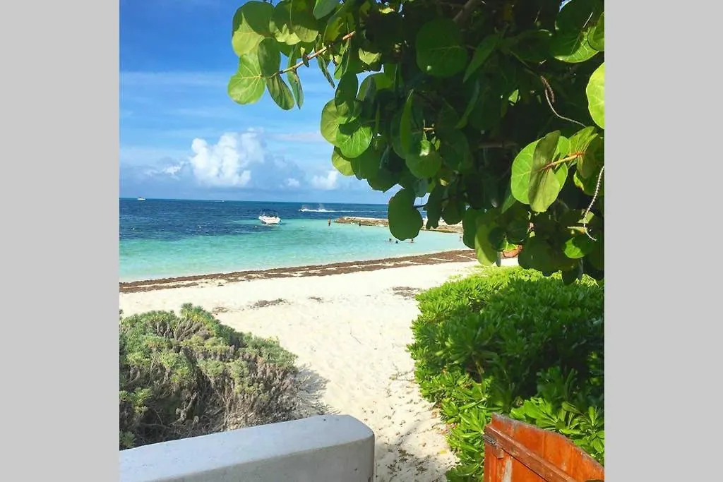 كانكون -Villa Pez Volador- La Mejor Playa De Zh !! 0*,  المكسيك