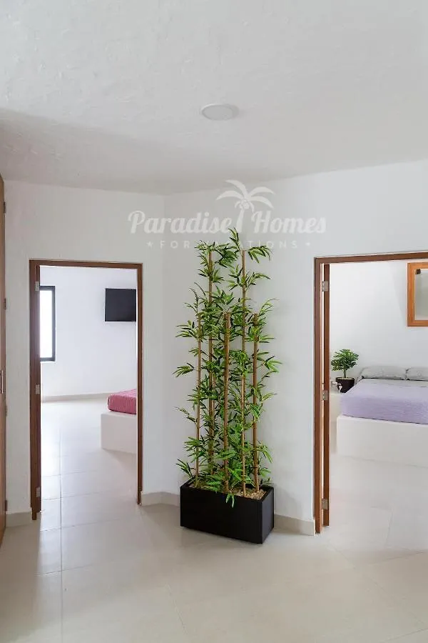 كانكون -Villa Pez Volador- La Mejor Playa De Zh !! 0*,